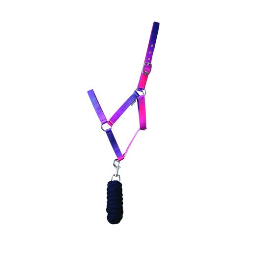 Hy Equestrian Ombre Head Collar &amp; Lead Rope - Pink/Purple/Navy