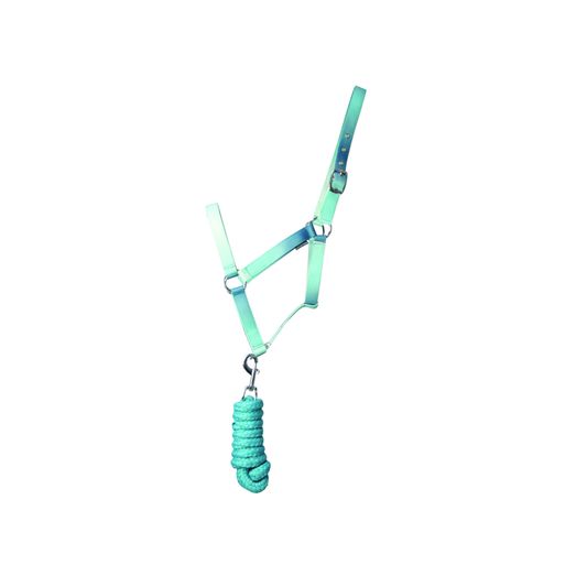 Hy Equestrian Ombre Head Collar &amp; Lead Rope - Teal