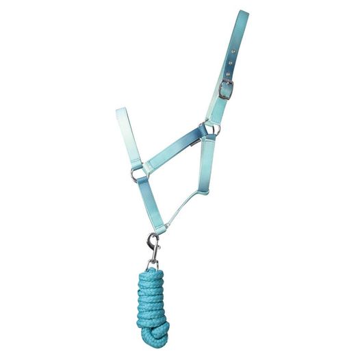 Hy Equestrian Ombre Head Collar &amp; Lead Rope - Teal