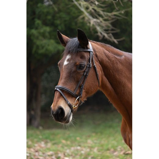 Hy Equestrian Padded Flash Bridle with Rubber Grip Reins - Brown