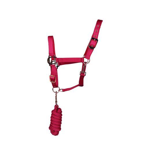 Hy Equestrian Rose Gold Head Collar &amp; Lead Rope - Blush Pink/Rose Gold