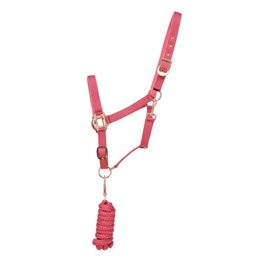 Hy Equestrian Rose Gold Head Collar &amp; Lead Rope - Blush Pink/Rose Gold