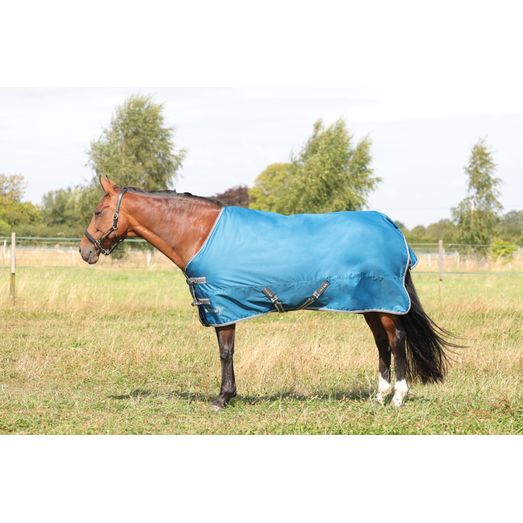 StormX Empra 50 Turnout Rug - Teal