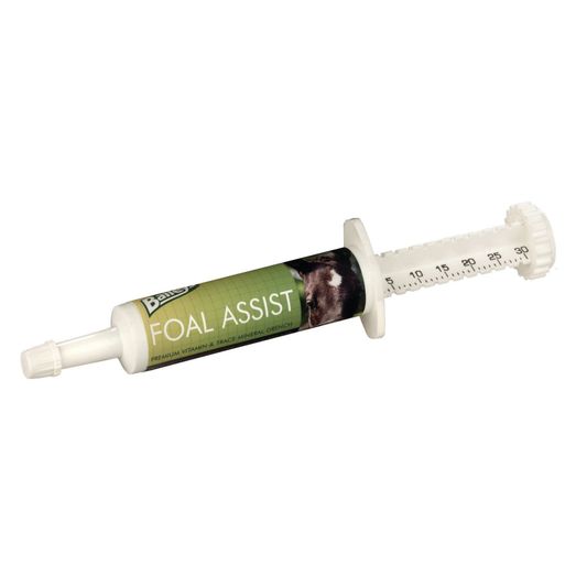 Baileys Foal Assist Syringe