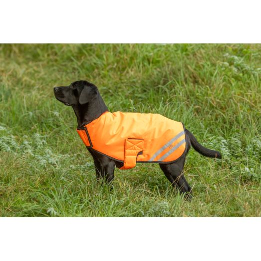 Benji &amp; Flo Reflector Waterproof Dog Coat by Hy Equestrian - Orange