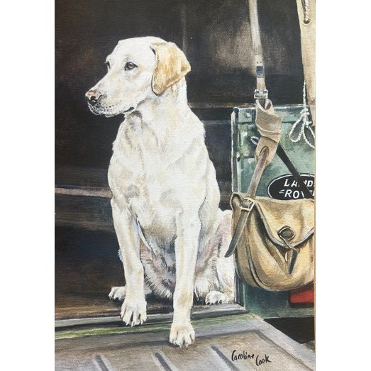 Caroline Cook Equestrian Cards