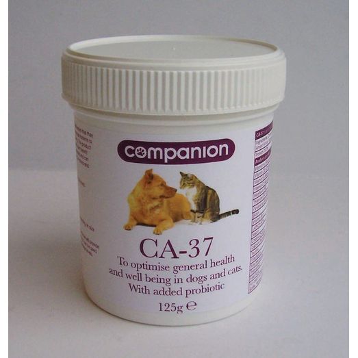 Companion CA-37