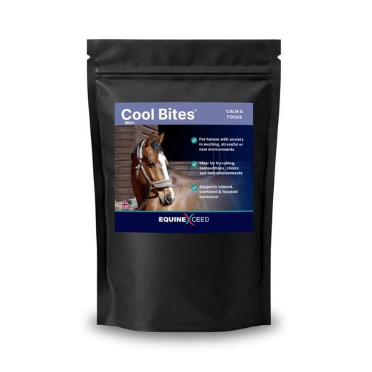 Cool Bites™