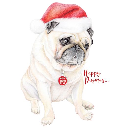 Deckled Edge Christmas Card - Rosa