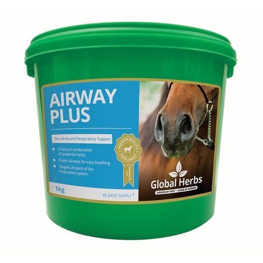 Global Herbs Airway Plus Powder