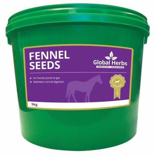 Global Herbs Fennel Seeds