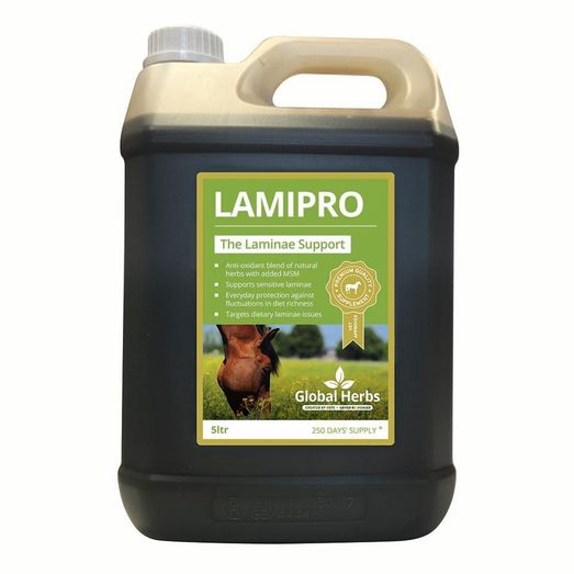 Global Herbs LamiPro Liquid