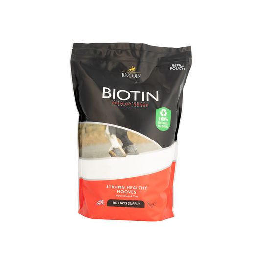 Lincoln Biotin Refill Pouch