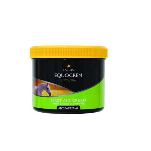 Lincoln Equocrem