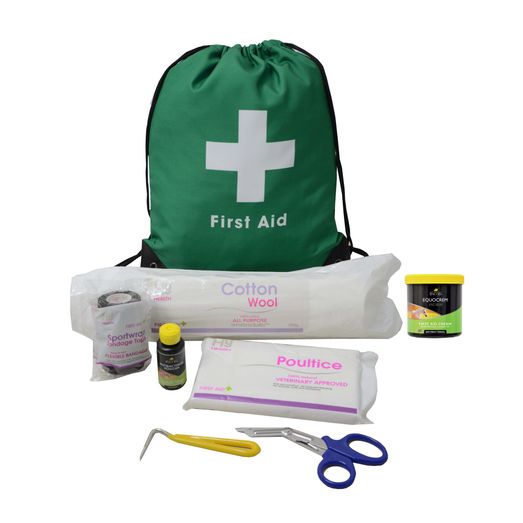 Lincoln First Aid Travel Bag