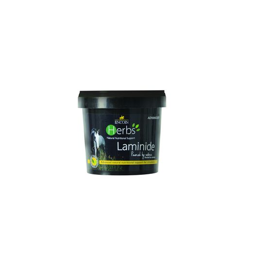 Lincoln Herbs Laminide