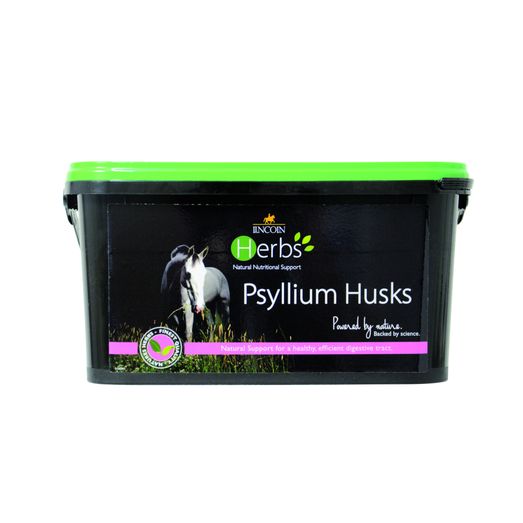 Lincoln Herbs Psyllium Husks