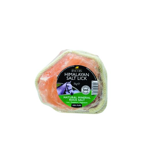 Lincoln Himalayan Salt Lick