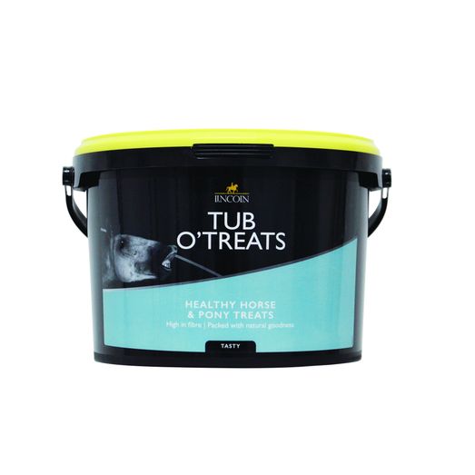 Lincoln Tub O' Treats