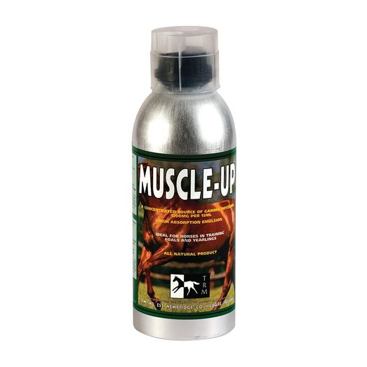 Muscle-Up