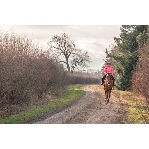 Reflector Hat Band by Hy Equestrian - Pink/Black