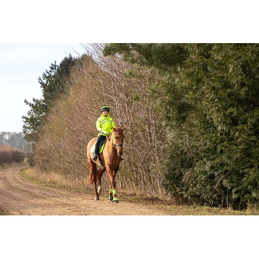 Reflector Hat Band by Hy Equestrian - Yellow/Navy