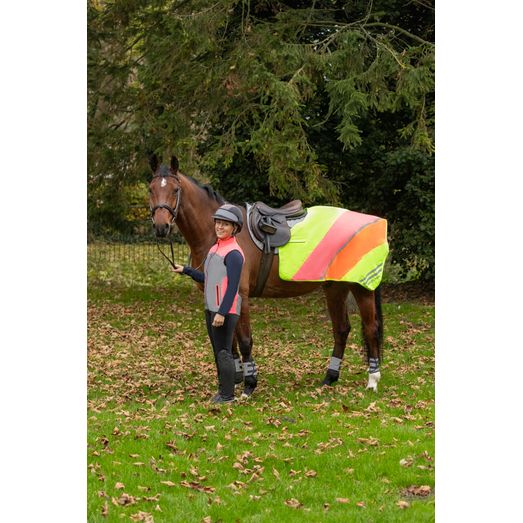 Silva Flash Reflective Bridle Set by Hy Equestrian - Reflective Silver