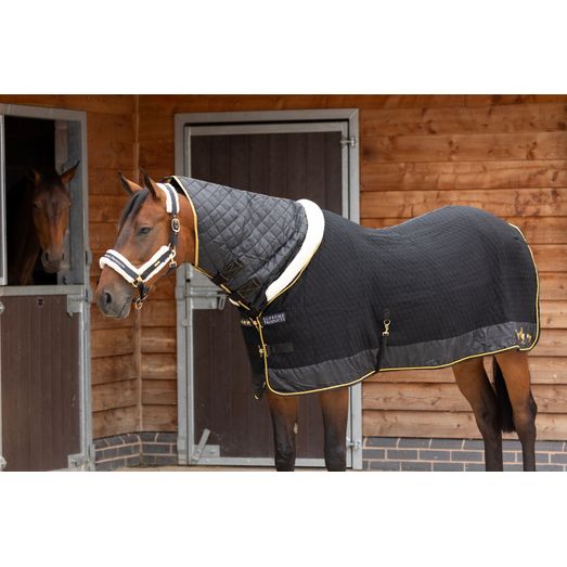 Supreme Products Royal Occasion Rug - Black