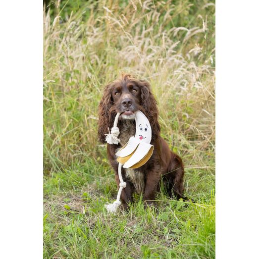 Benji &amp; Flo Crazy Faces Dog Toys