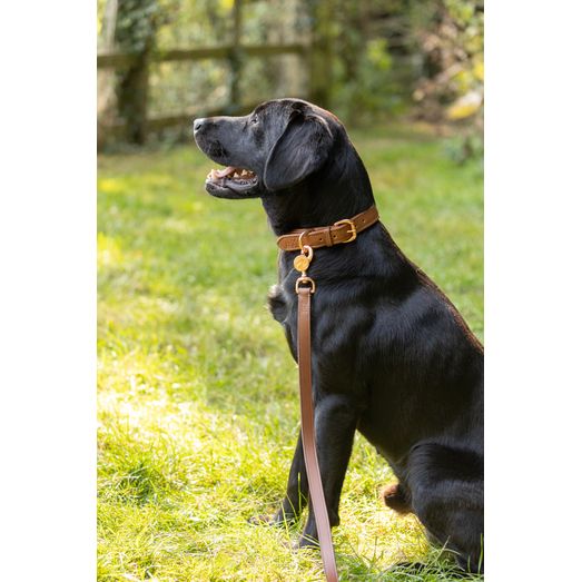 Benji &amp; Flo Deluxe Padded Leather Dog Collar - Tan/Rose Gold