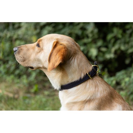 Benji &amp; Flo Interlaced Dog Collar - Blue