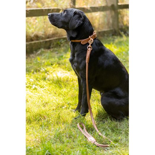 Benji &amp; Flo Superior Rolled Leather Dog Lead - Tan/Rose Gold