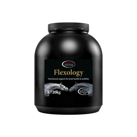 Omega Equine Flexology