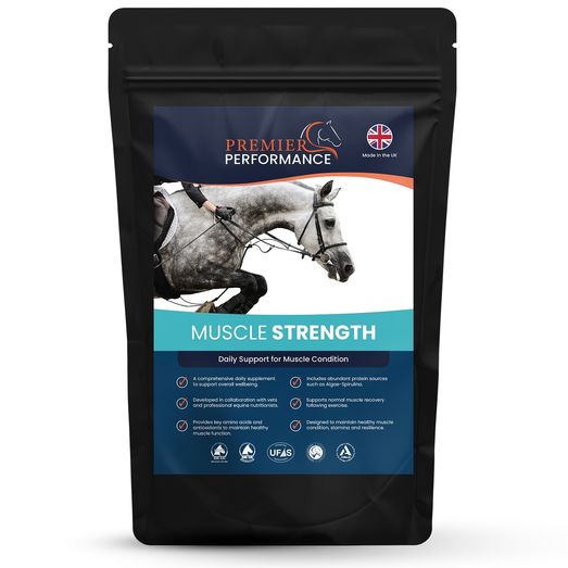 Premier Performance Muscle Strength