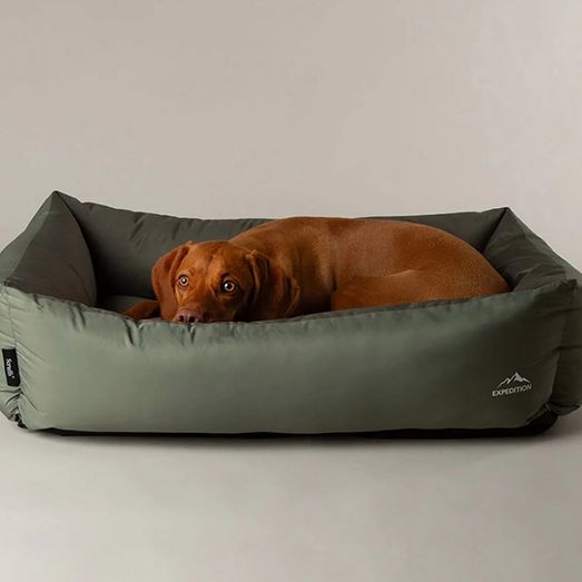 Scruffs Expedition Box Bed - Khaki Green