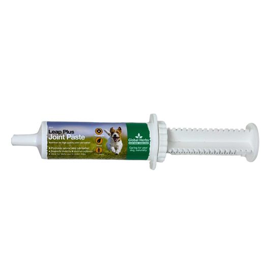 Global Herbs Canine Leap Plus Joint Paste