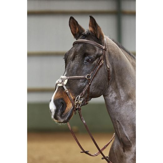 Whitaker Bp052 Valencia 5 Point Breastplate Havana