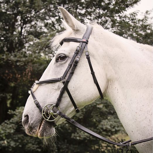 Whitaker Br050A Eastwood Mexican Bridle with Reins Black