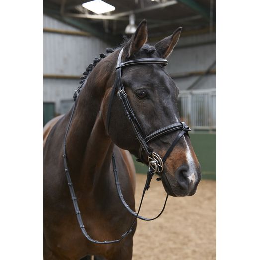 Whitaker Br051A Eastwood Raised Flash Bridle with Reins Black