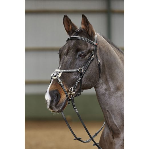 Whitaker Br052 Valencia Deluxe Mexican Brdle with Reins Black