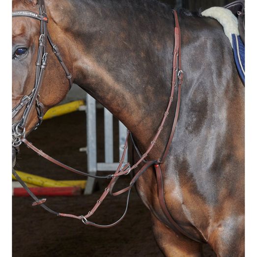 Whitaker Ma077 Barton Martingale Havana