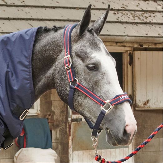 Whitaker Whcs Airflow Headcollar/Lead Rope Set Navy/Red