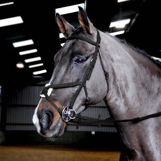 Whitaker Br056 Ready To Ride Mexican Bridle Black