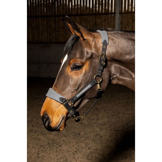 Whitaker Hc096 Harewood Headcollar Grey