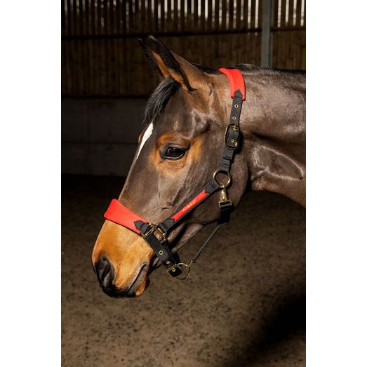 Whitaker Hc096 Harewood Headcollar Red