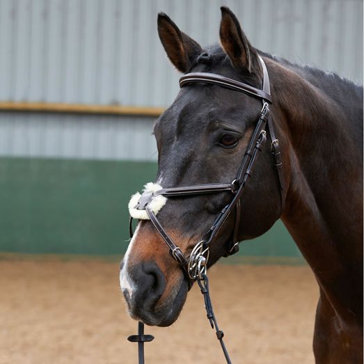 Whitaker Br050A Eastwood Mexican Bridle with Reins Havana