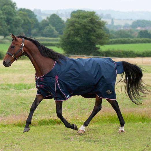 Gallop Trojan Duraproof 50g 5-Point Std Neck Turnout Turnout Rug Navy