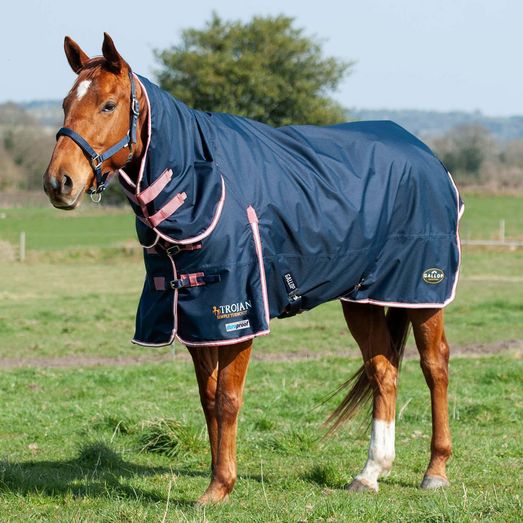 Gallop Trojan Duraproof 50g Turnout Combo Turnout Rug Navy