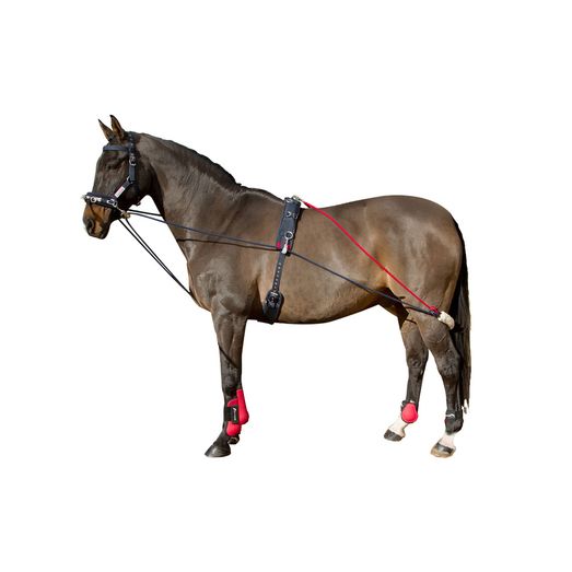 Whitaker Tsrwb Training System Navy/Red