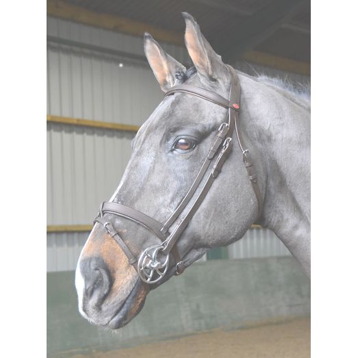 Whitaker Br056 Ready To Ride Snaffle Bridle Havana